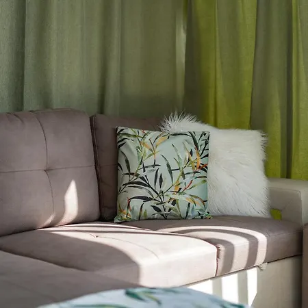 Buenavista Palmeras In *