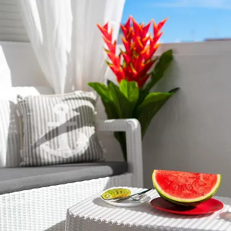 Buenavista Palmeras In Apartamento